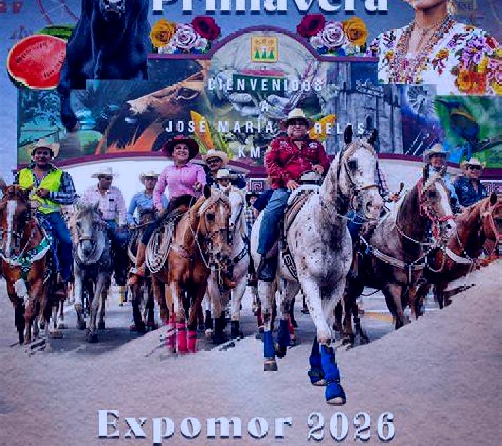 Abril 3 Corral de Almaguer escort
