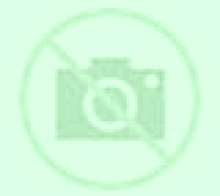 Abril Bea escort