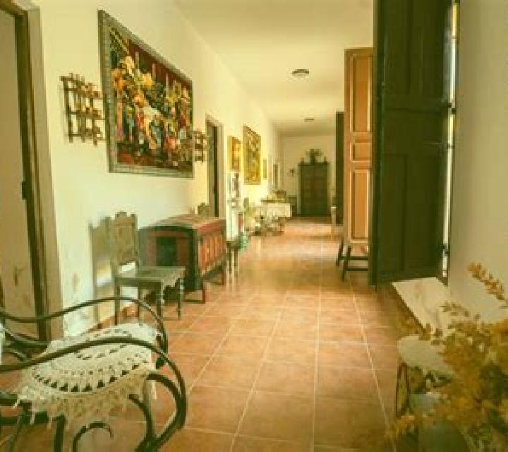 Abril Senyera escort