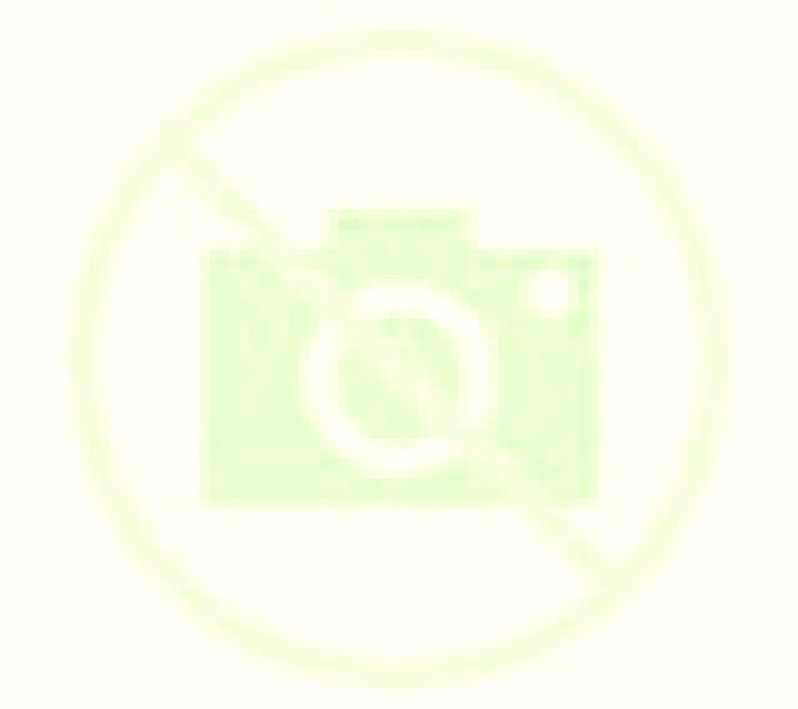 Adriana Campo de Criptana escort