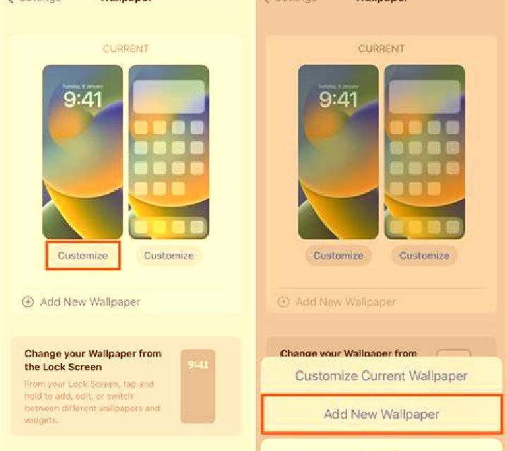 Adriana Coll de Nargo escort