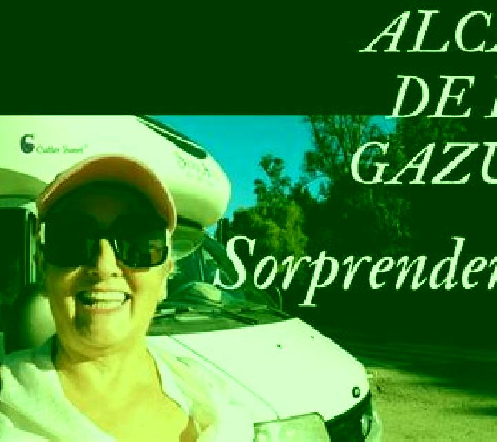 Alba Villasarracino escort
