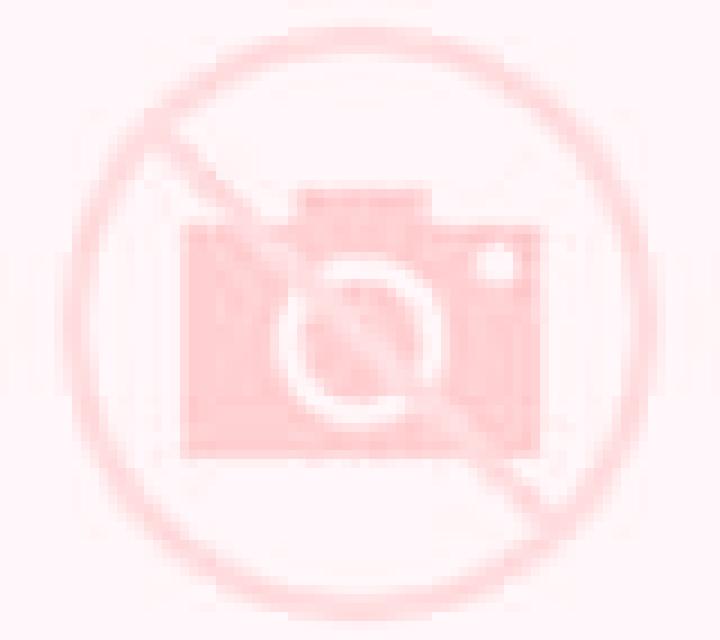 Amanda Villalobar de Rioja escort