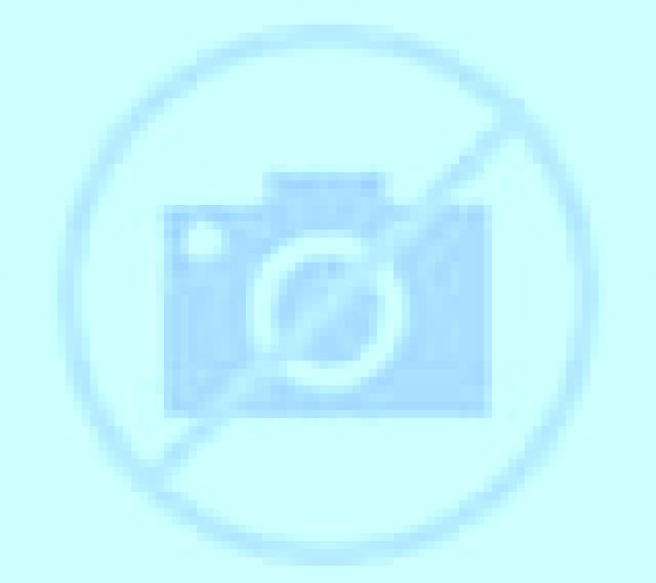 Amaya Javier escort