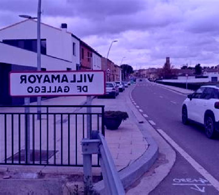 Amaya Villamayor de Gallego escort