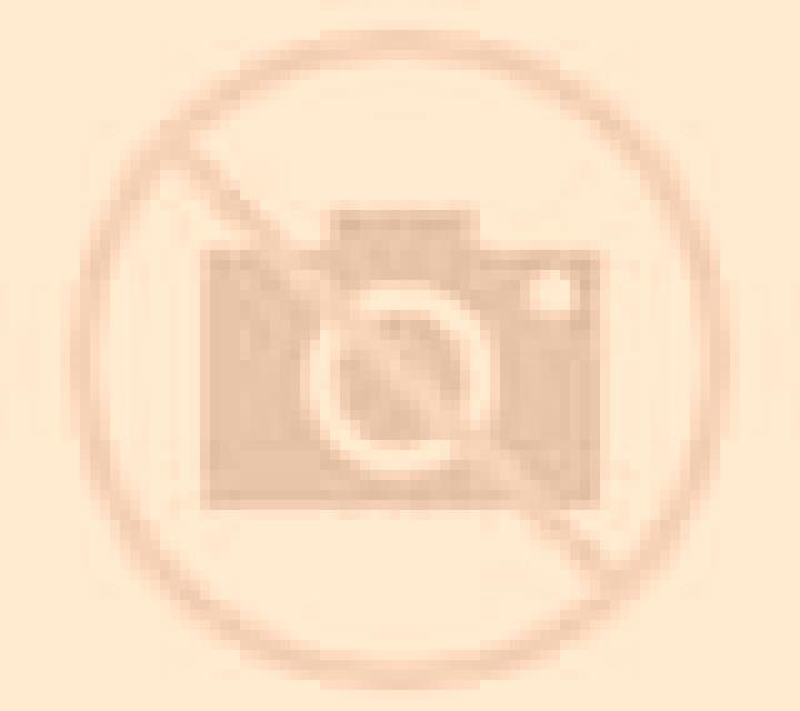 Andrea 2 Videmala escort