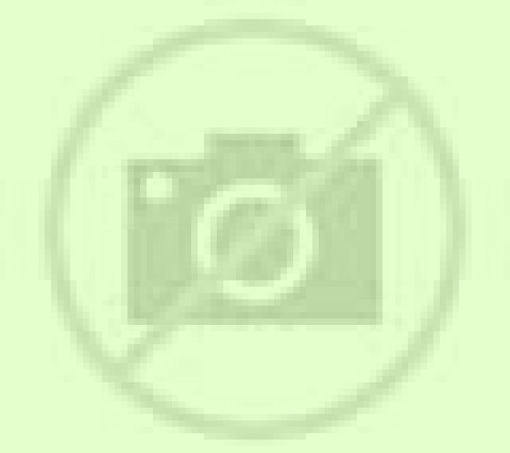 Andrea 3 Useras escort