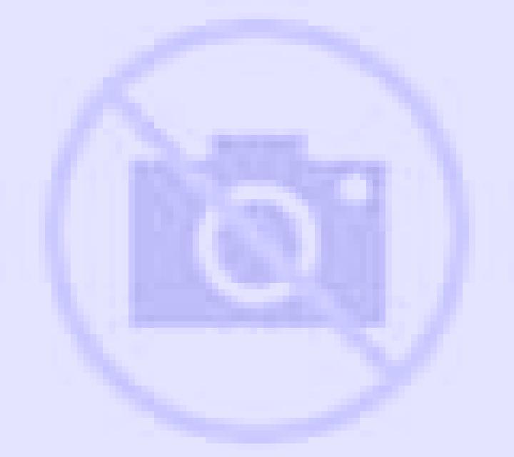 Andrea Villapedre escort