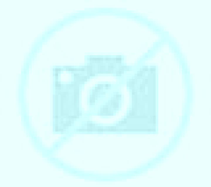 Aurora Villafrades de Campos escort