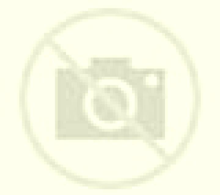Beatriz 3 Hoyos del Collado escort