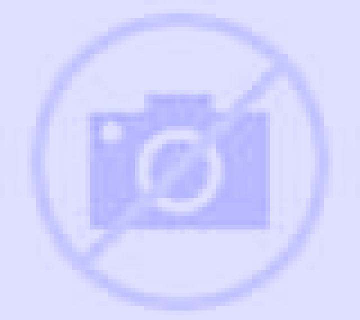 Beatriz Covarrubias escort