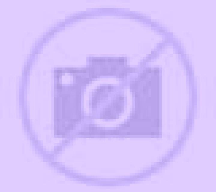 Beatriz Gorga escort