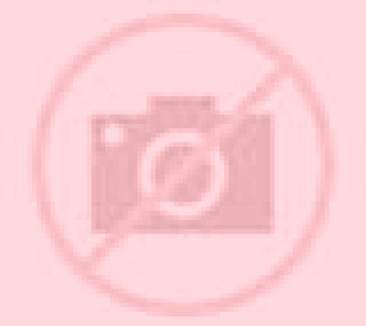 Beatriz Villanova escort