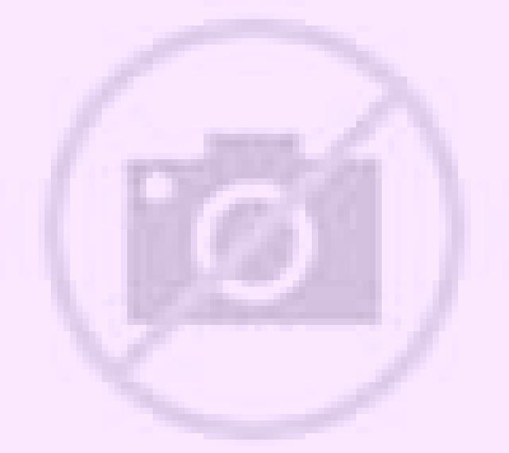 Blanca Roses escort
