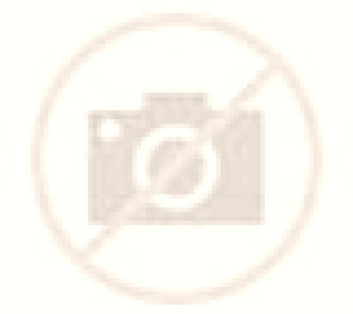 Camila 3 Bellreguard escort
