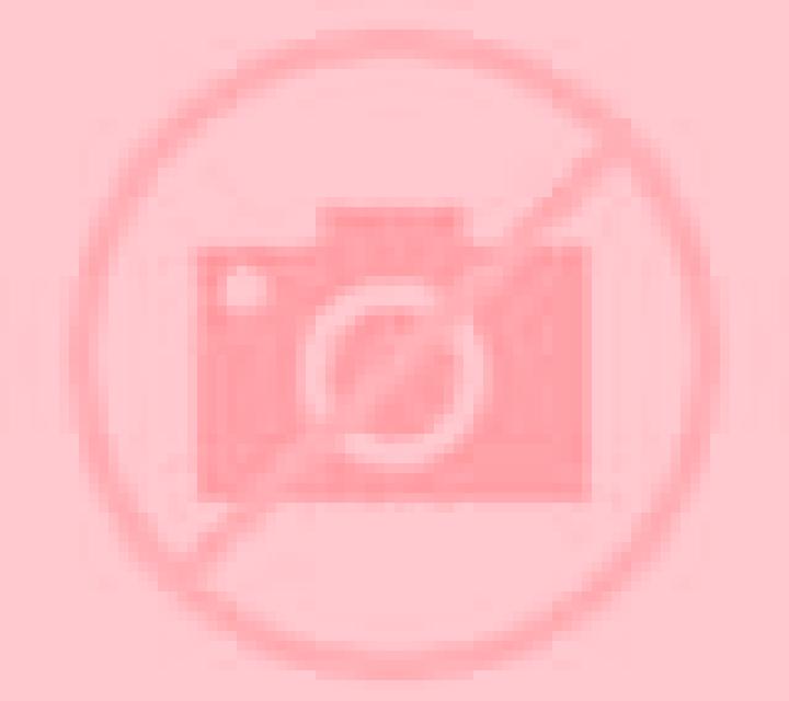 Camila 3 Ciruena escort