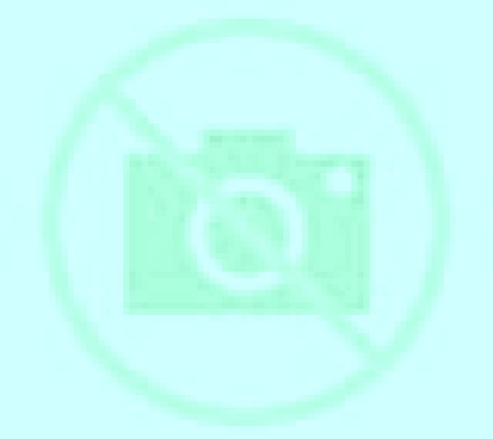 Carmen Baranain escort