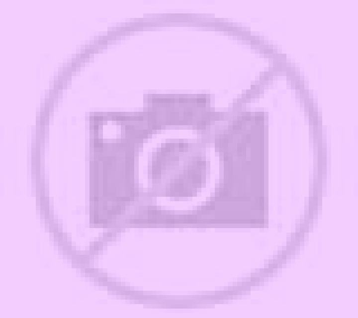 Carmen Sort escort