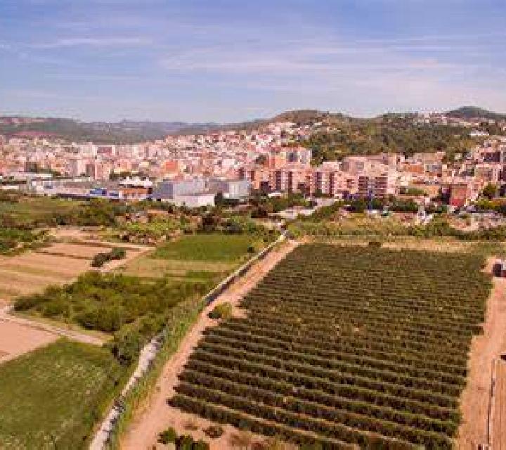 Cayetana 3 Cox escort