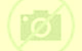 Cayetana Candin escort