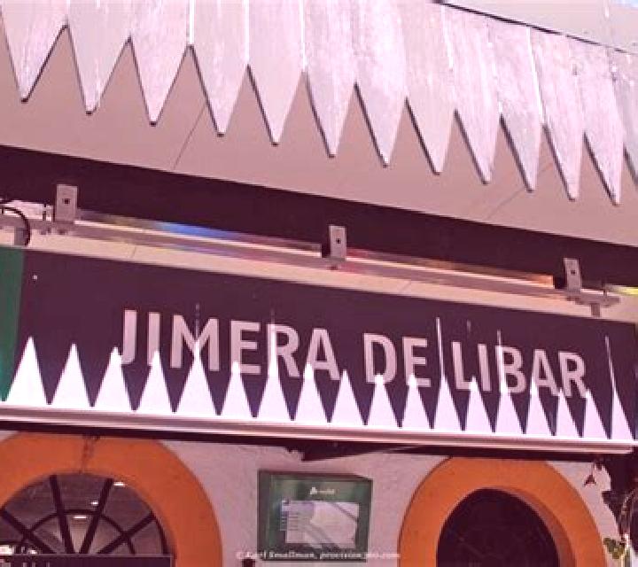 Cayetana Sant Guim de Freixenet escort