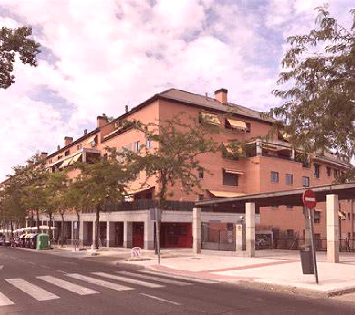 Cielo 2 Albero Alto escort