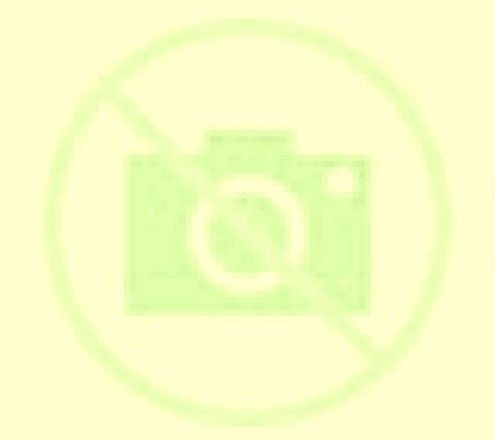 Claudia Camarles escort