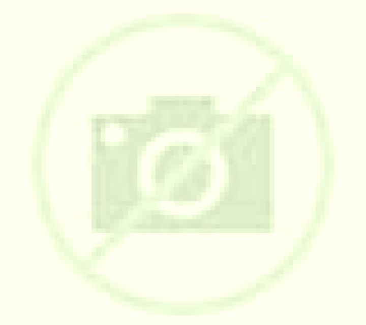 Cristina 2 Dolar escort