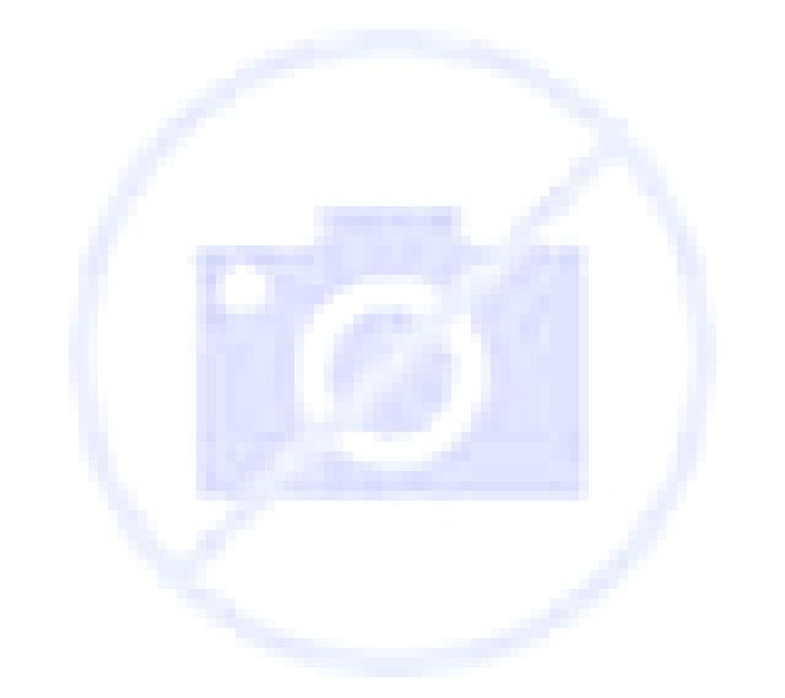 Cristina San Pascual escort