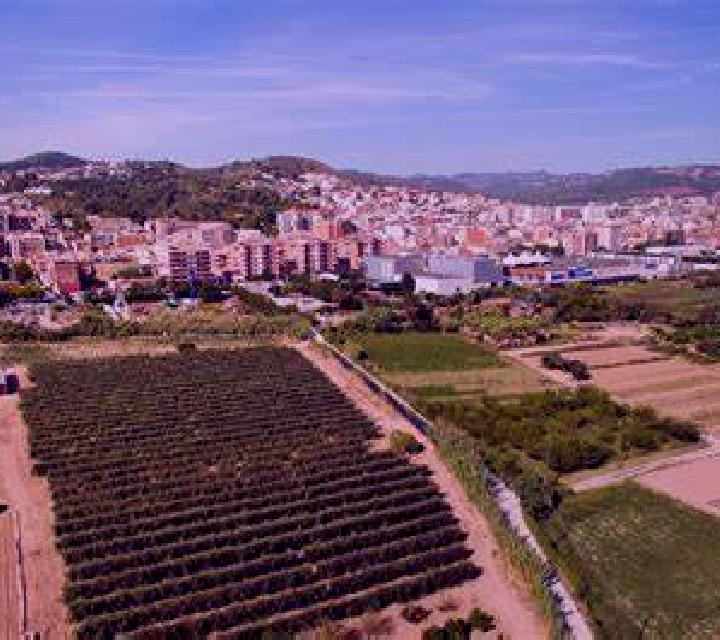 Daniela 2 Cerveruela escort
