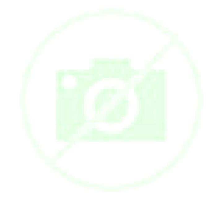 Daniela Villaseco de los Reyes escort