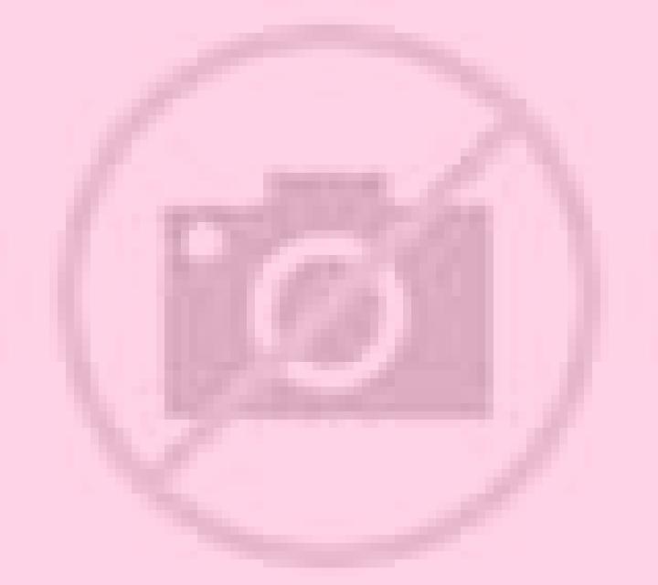 Diana La Torrecilla escort