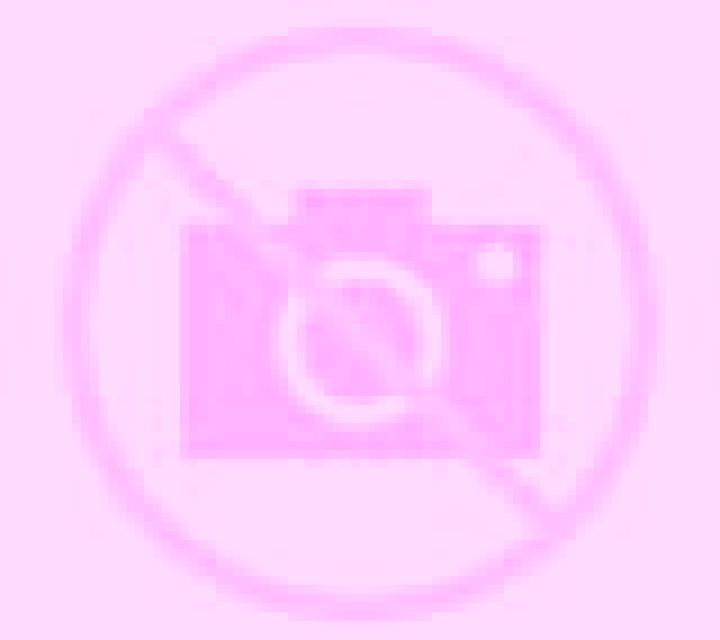 Elena 2 Cillan escort