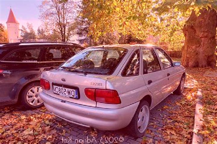 Elena 3 Cobdar escort