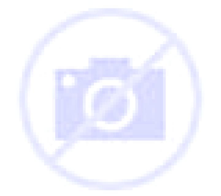 Emilia Agueero escort