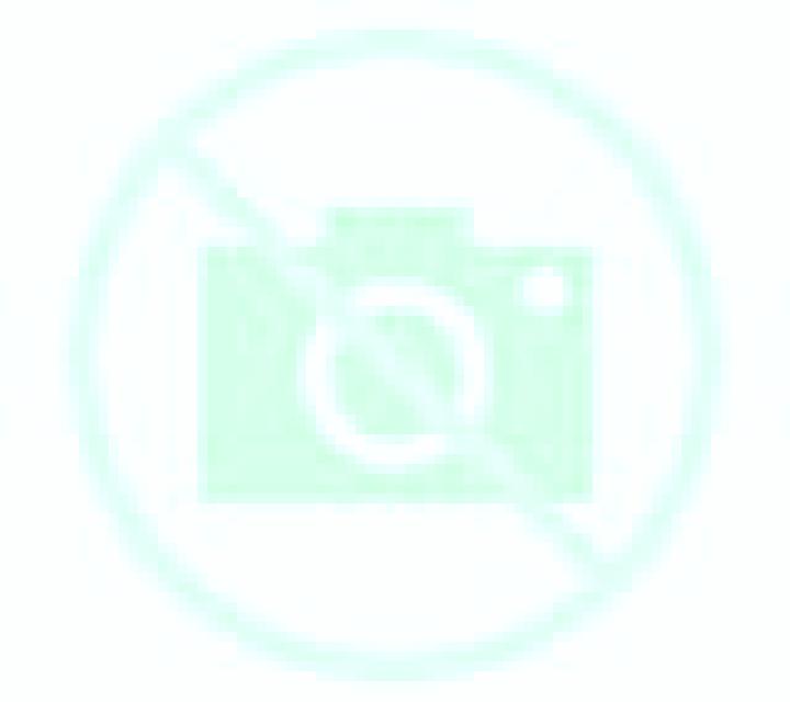 Emilia Alhendin escort