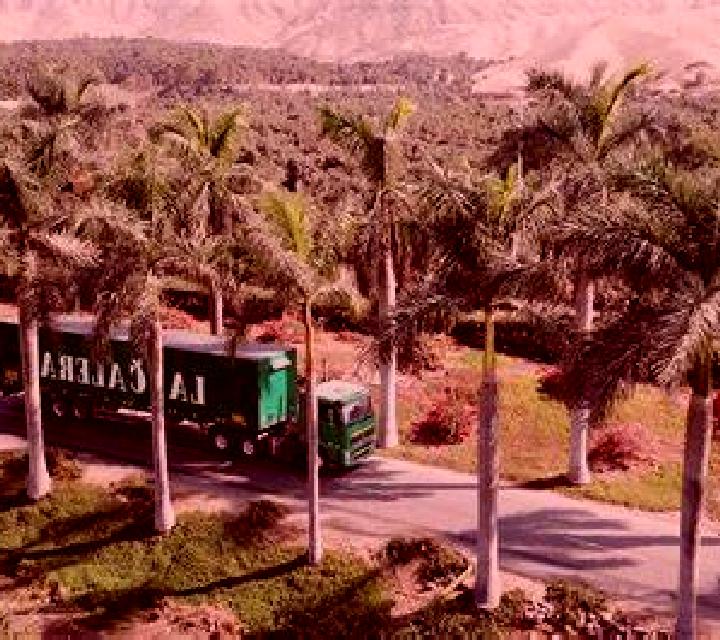 Estrella 2 Gajates escort