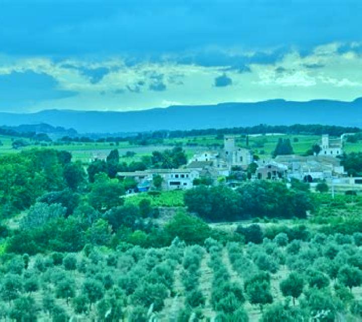 Estrella 2 Vinateros escort