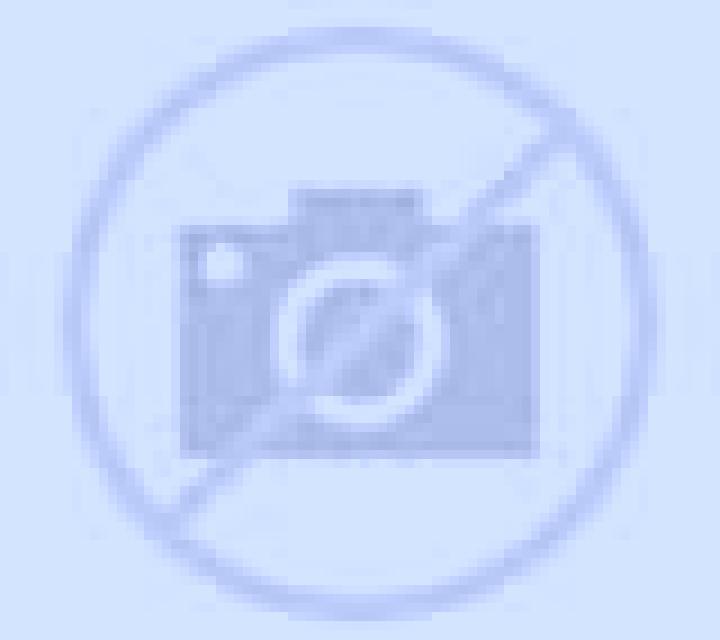 Estrella Friol escort