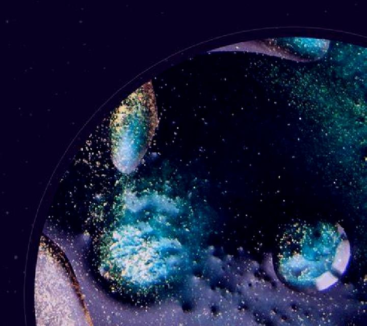 Estrella Millares escort
