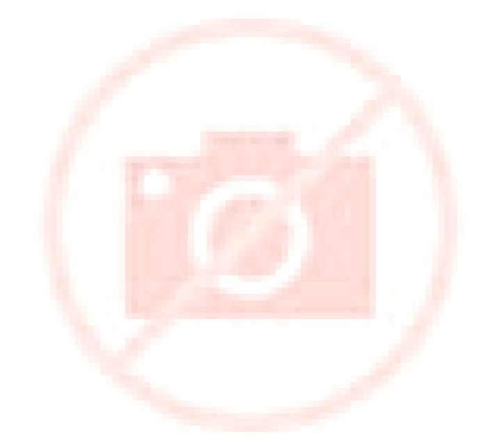 Estrella Moriscos escort