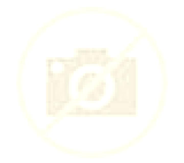 Florencia Santiz escort