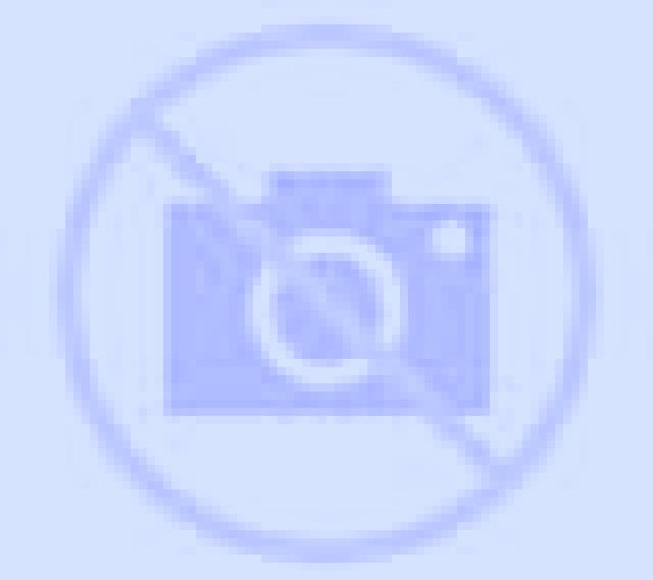 Gabriela Abrucena escort