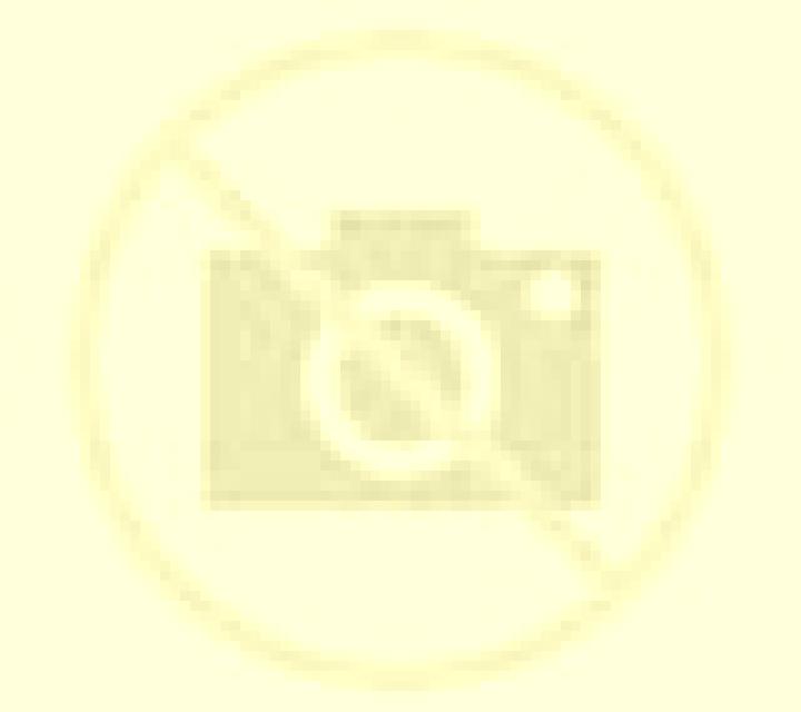 Gabriela Banon escort