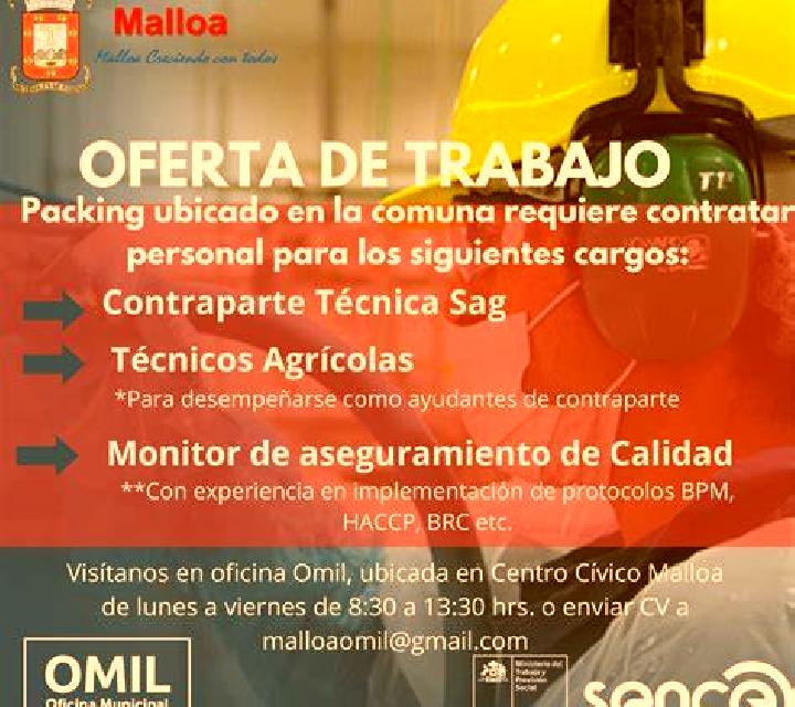 Gabriela Pola de Somiedo escort