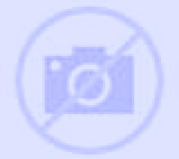 Irene Sardon de los Frailes escort