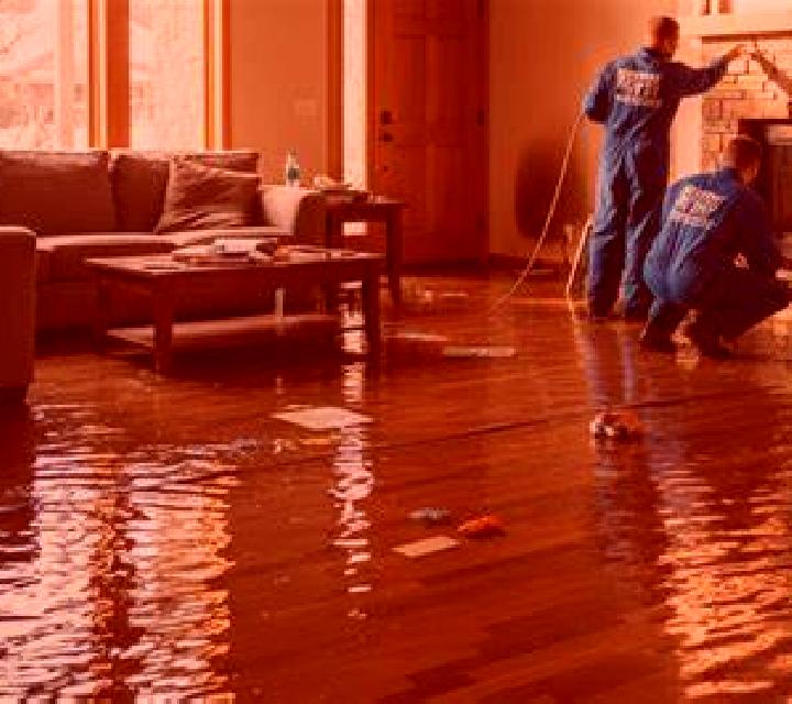 Irene Zarraton escort