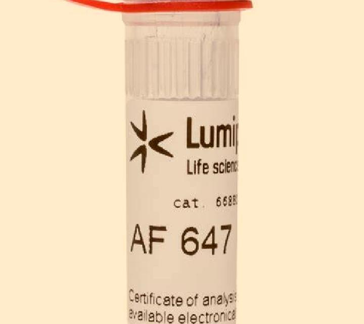 Isabela 2 Moscardo escort