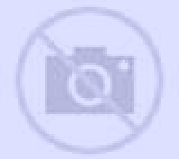 Isabella Plenas escort