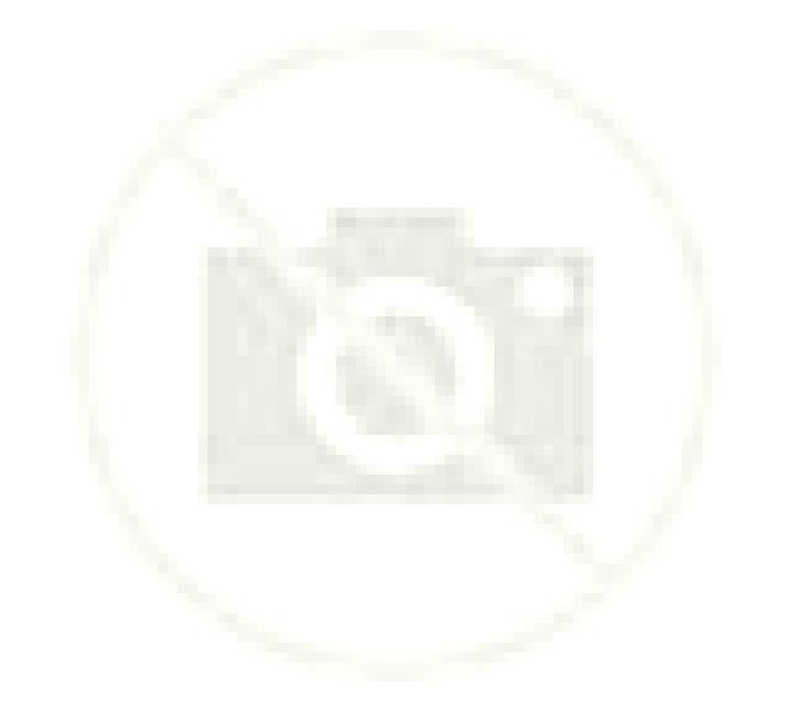 Julia Montalvos escort
